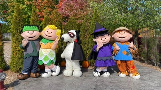 Michigan's Adventure characters on Halloween costumes