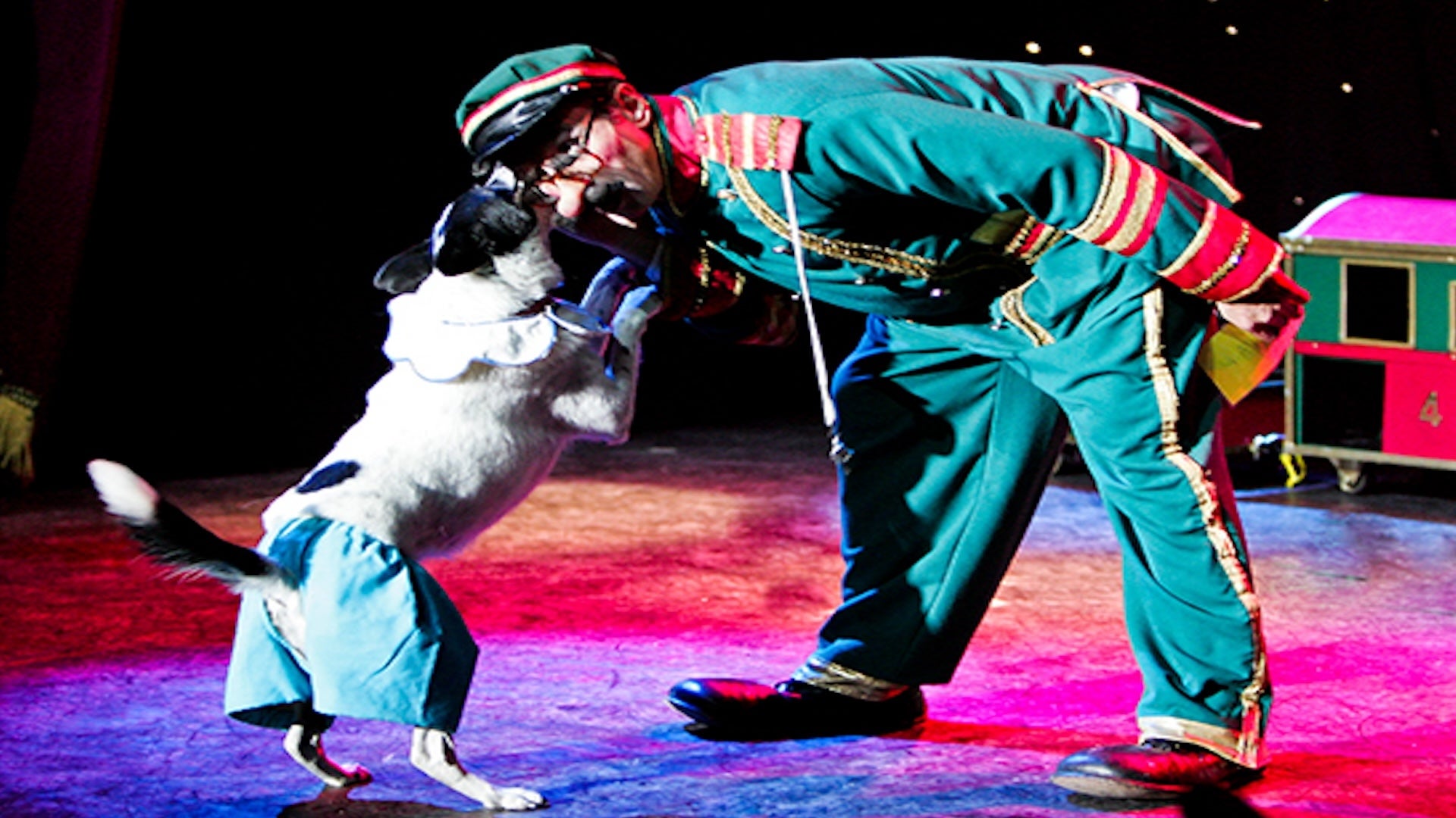 a pet owner and a dog on stage