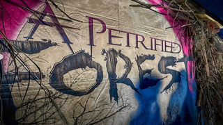 signage that says Petrified Forest
