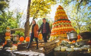 A large tree made up of pumpkins with a couple strolling hand and hand next to it during fall at Silver Dollar City