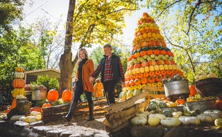 A large tree made up of pumpkins with a couple strolling hand and hand next to it during fall at Silver Dollar City