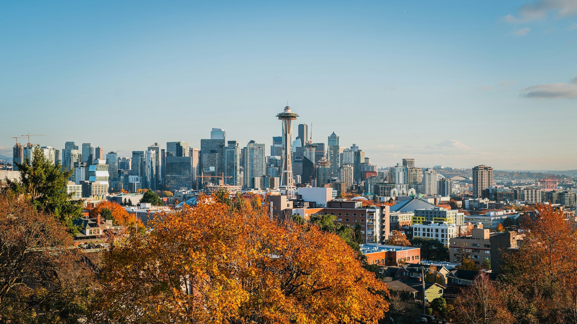 Seattle skyline with fall foliage in the foreground