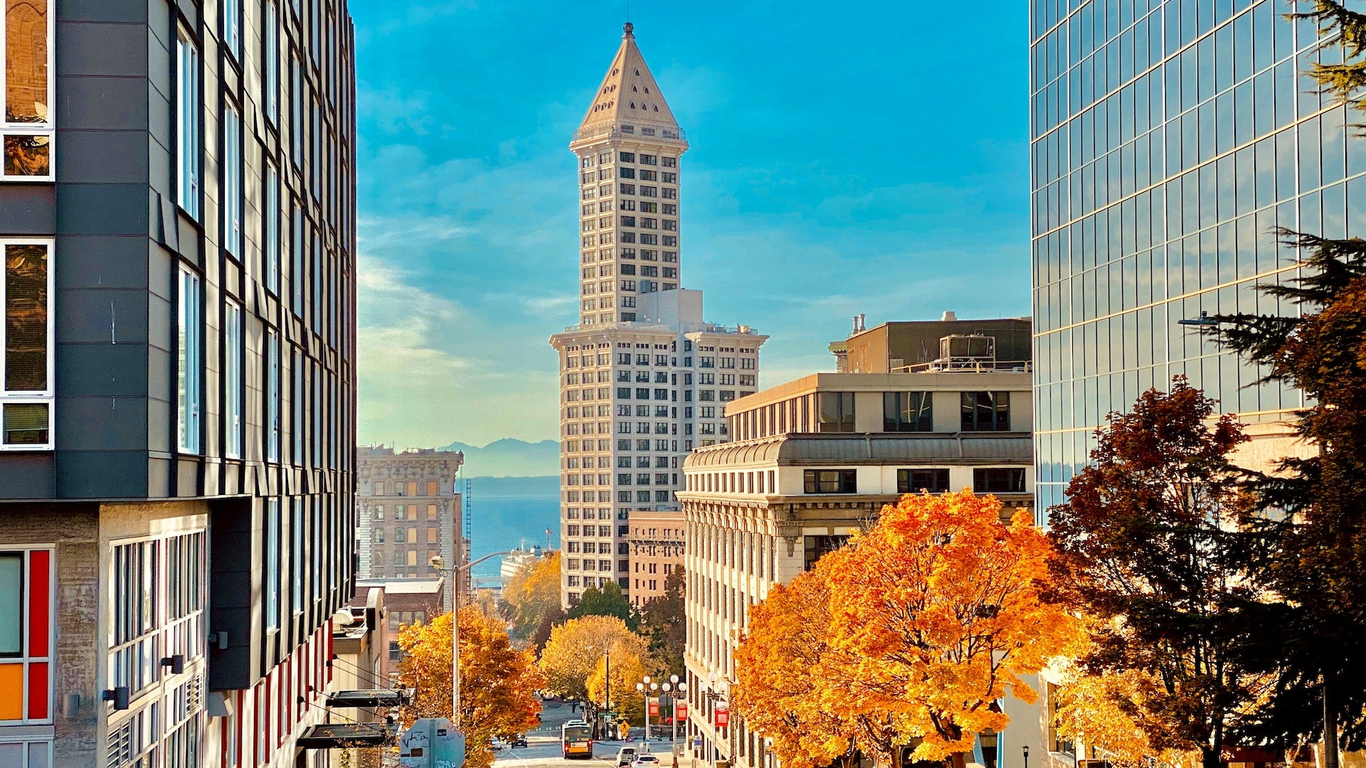 Smith tower in the distance with fall foliage in the foreground