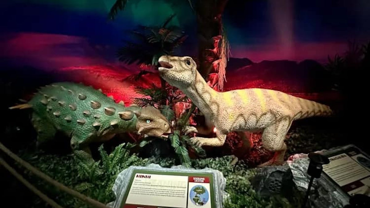 Two model dinosaurs in an enclosure