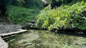 Body of water surrounded by a stone wall and lush green vegetation