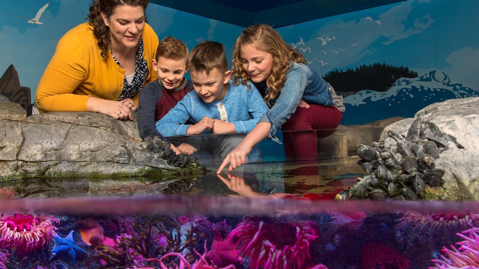 Several children and an adult gazing and pointing into a touch pool at Sea Life Michigan