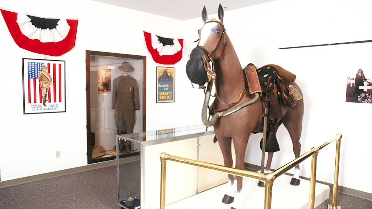 Indoor exhibit at the Veteran's memorial museum of a horse with a gas mask on and a uniform in a display case