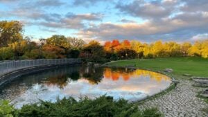 park with trees, pond, and bridge