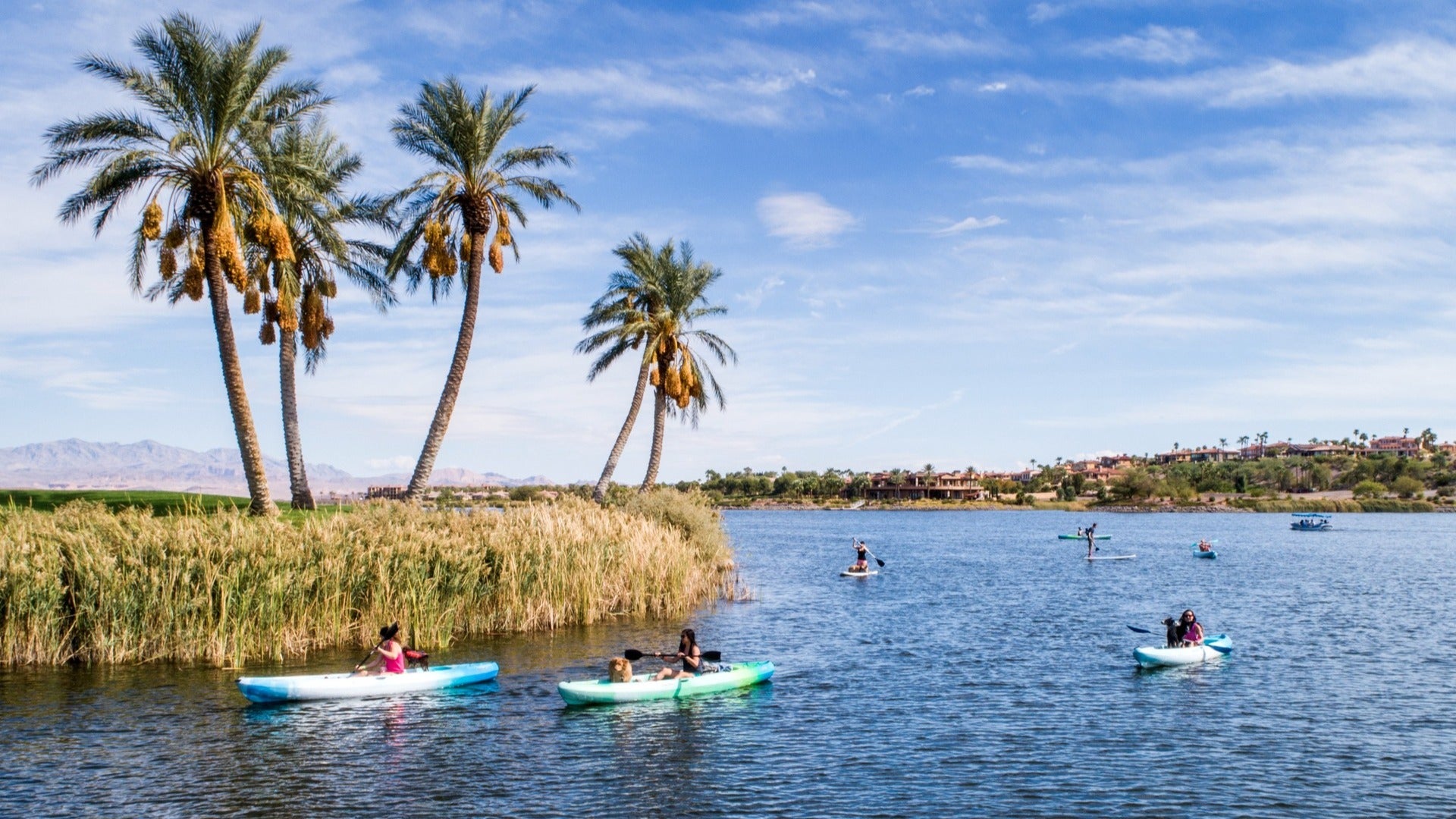 people kayaking on a lake, island with palm trees on the side and a view of mountains at the back