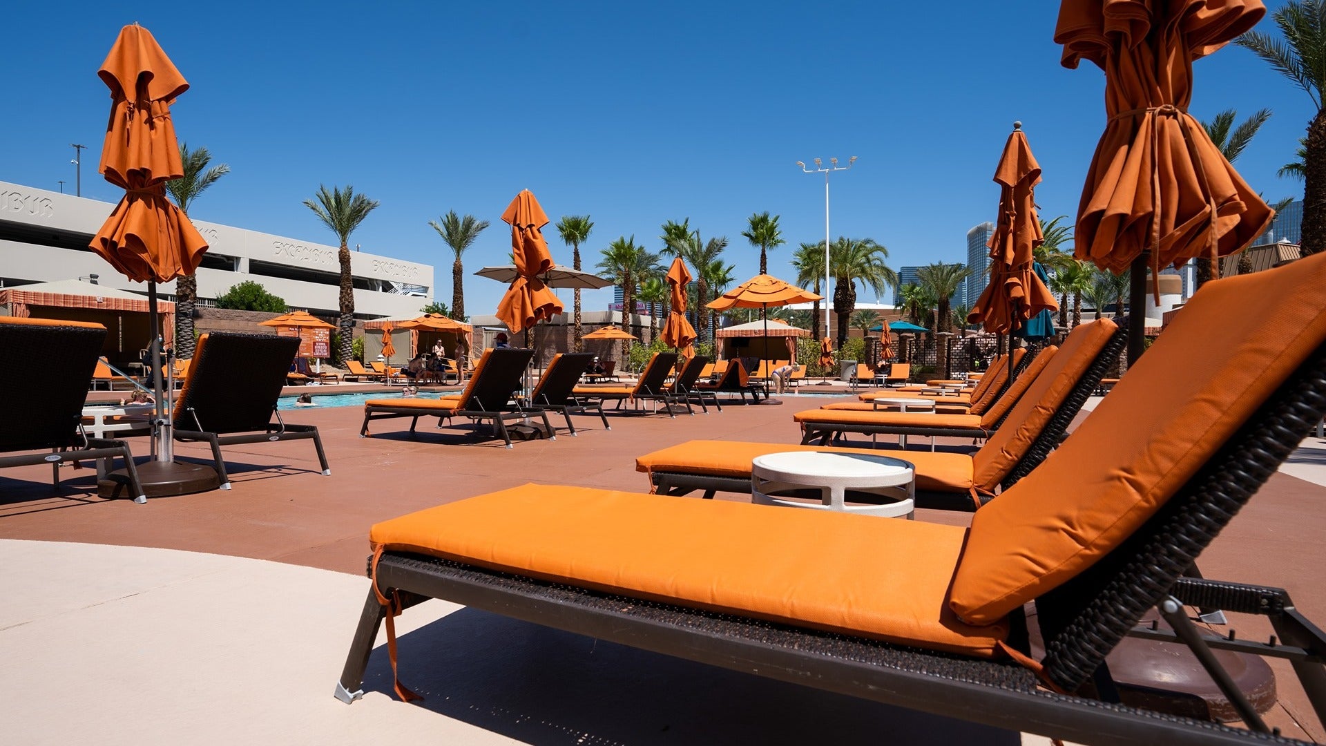 orange day beds and pool umbrellas on a sunny day with palm trees at the back