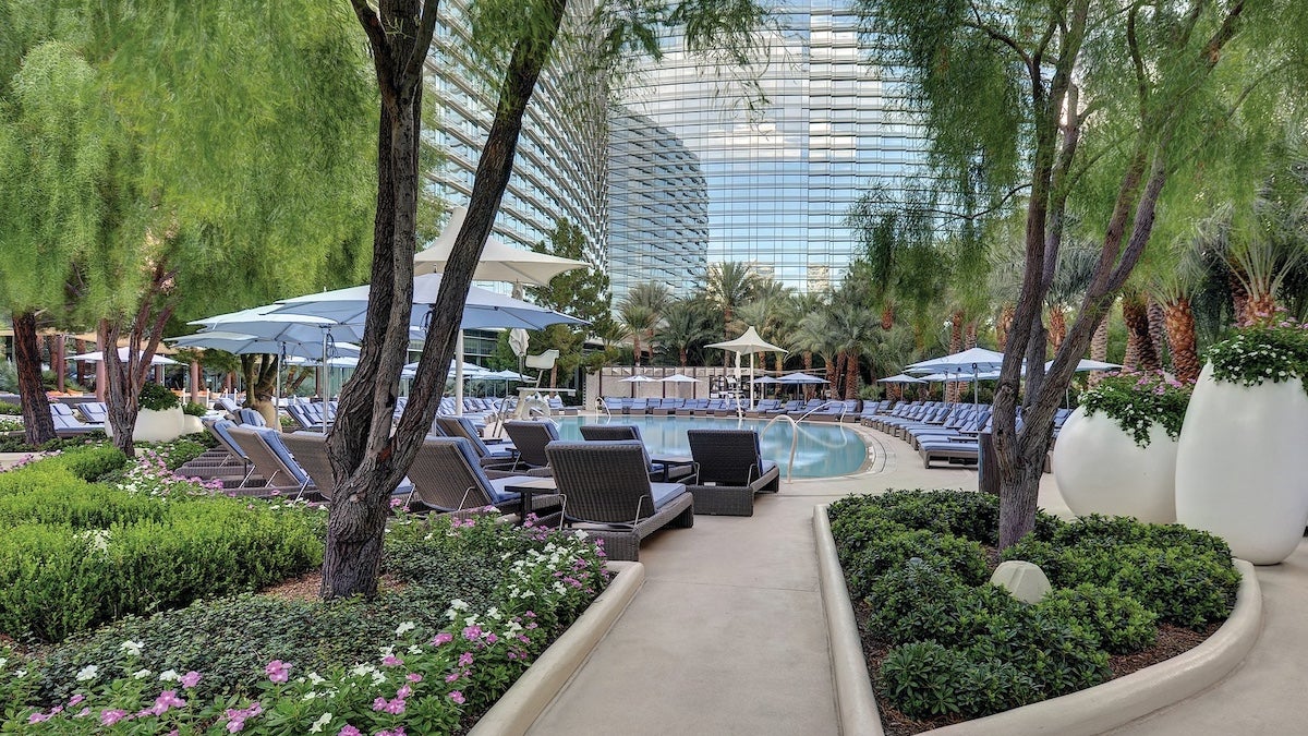 Pool area with lots of green trees and potted plants with blue lounge chairs