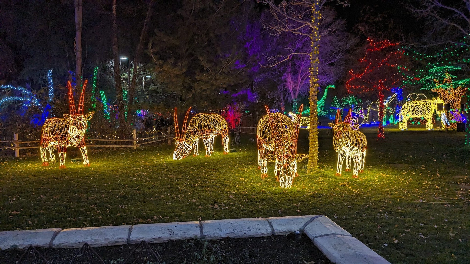 Light figurines of gazelle in a yard with abundant Christmas lights in the background