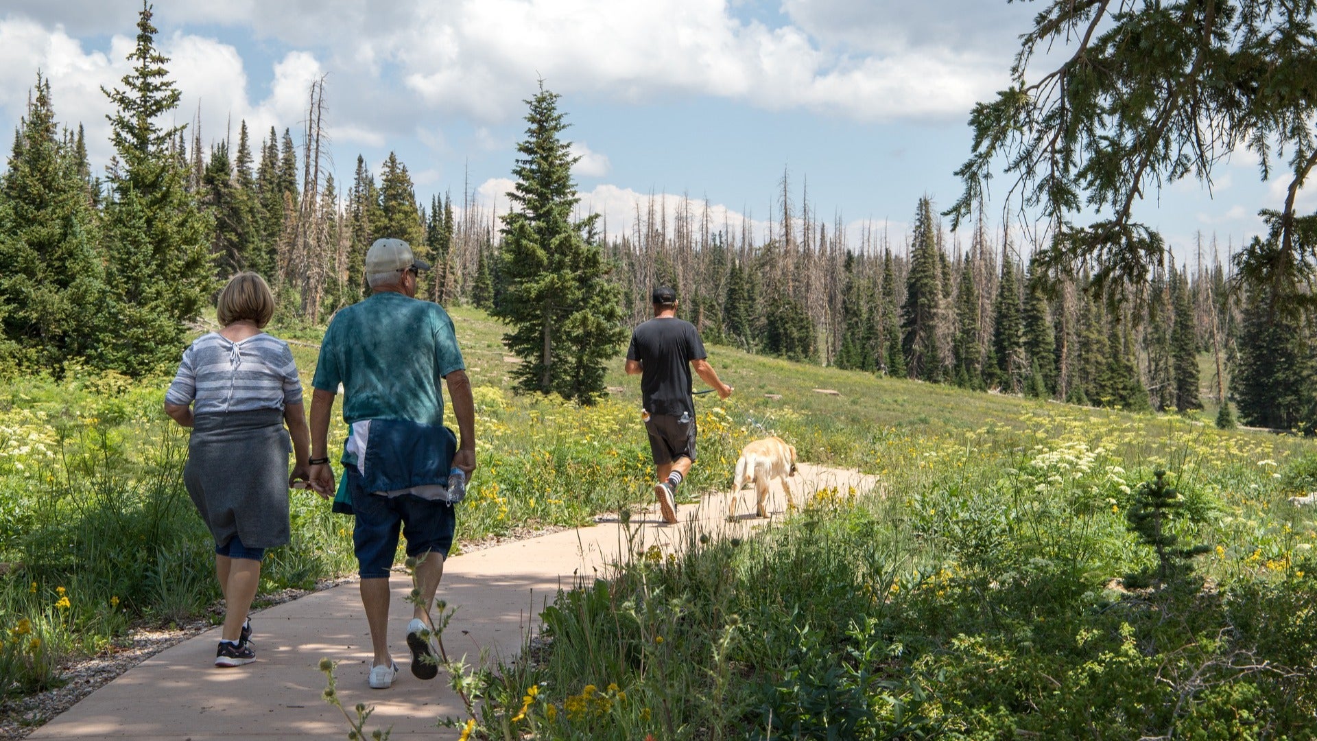 man walking dog on a trail, man and woman walking behind them, trees in the back