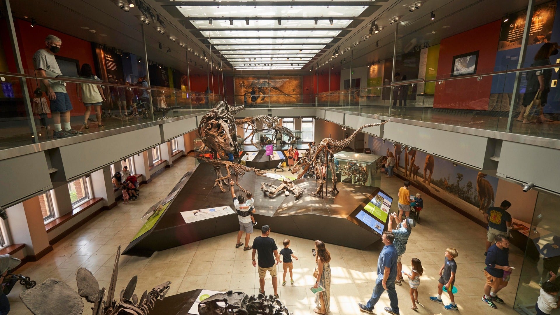 dinosaur skeleton on display at a museum with people looking around the exhibits