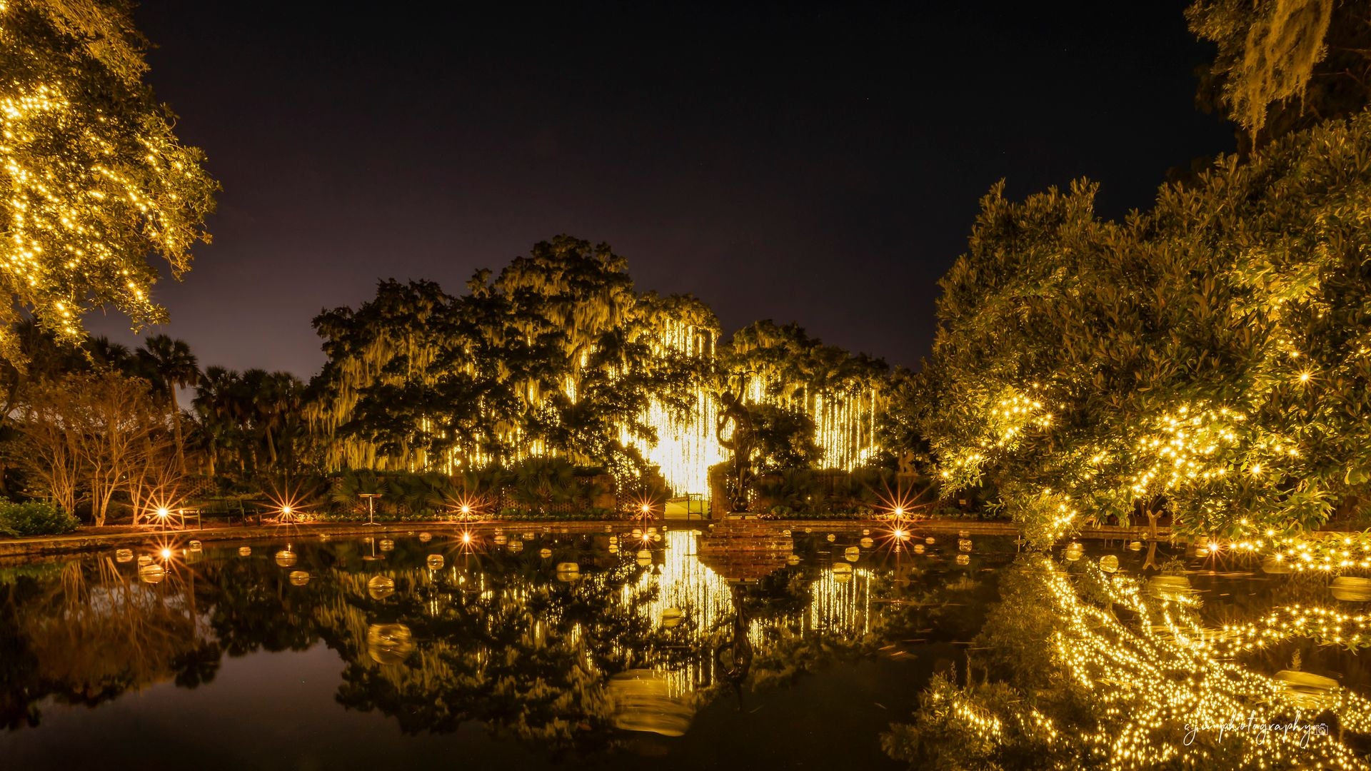 water feature with trees lit up with lights