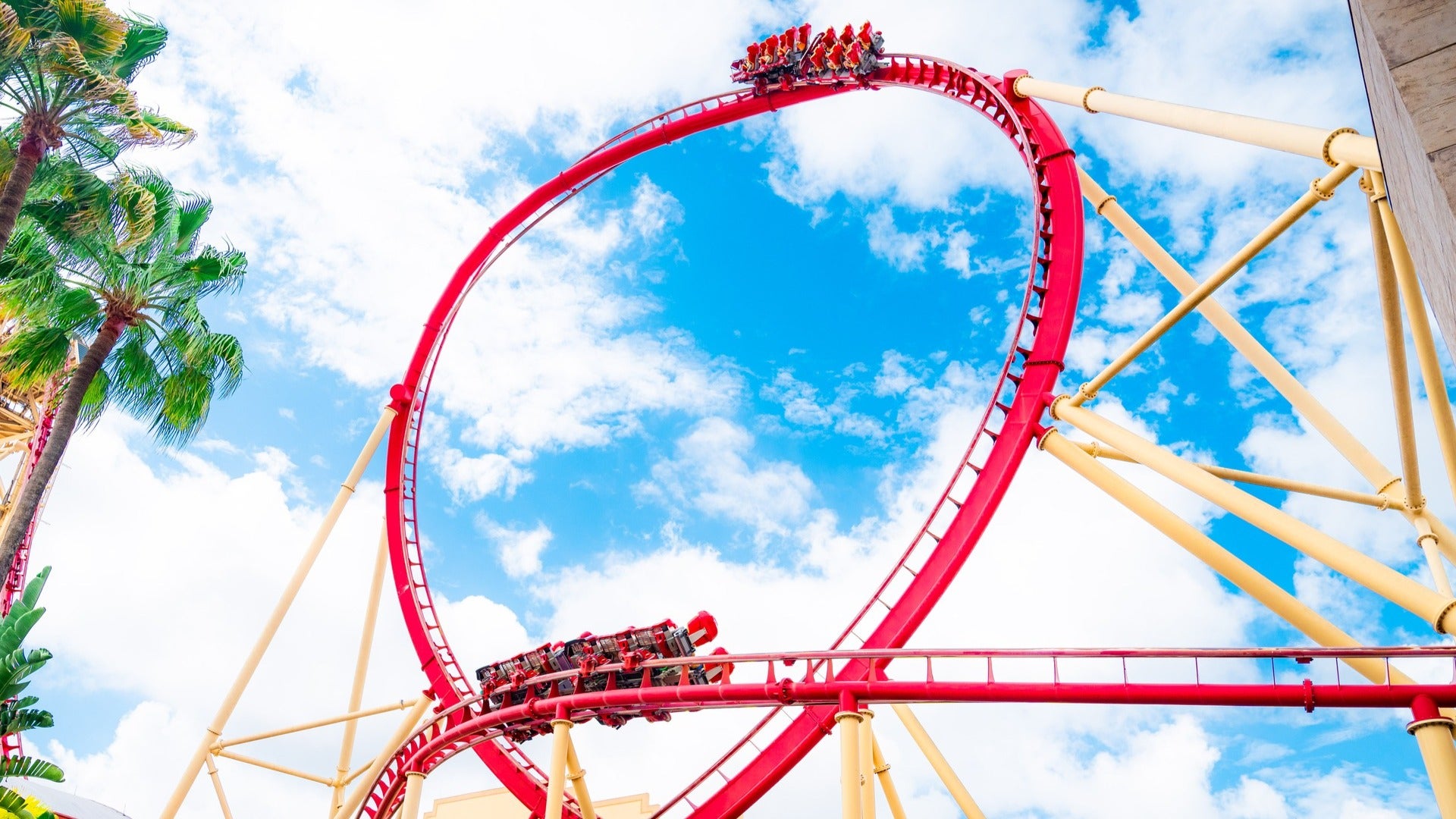 roller coaster with palm tree on the side