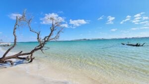 island with crystal clear water and driftwood