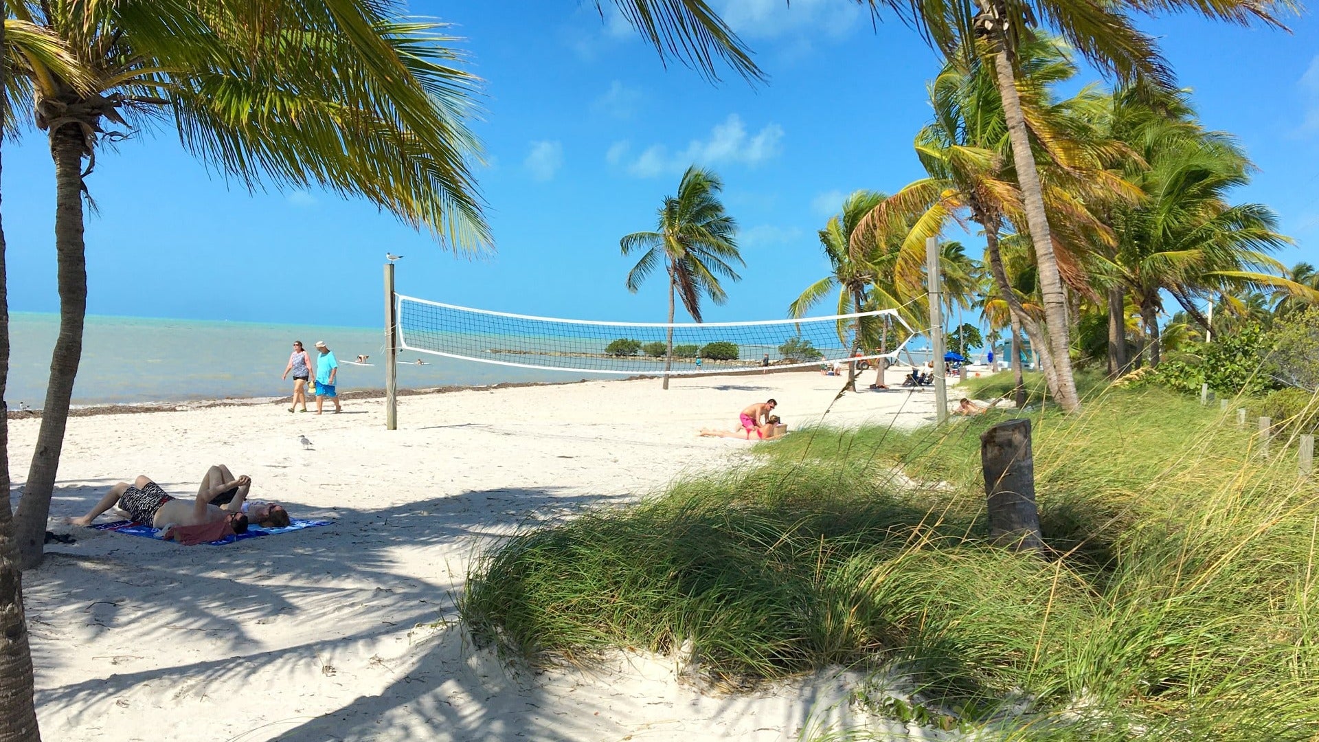 people relaxing on the beach with a volleyball net and palm trees