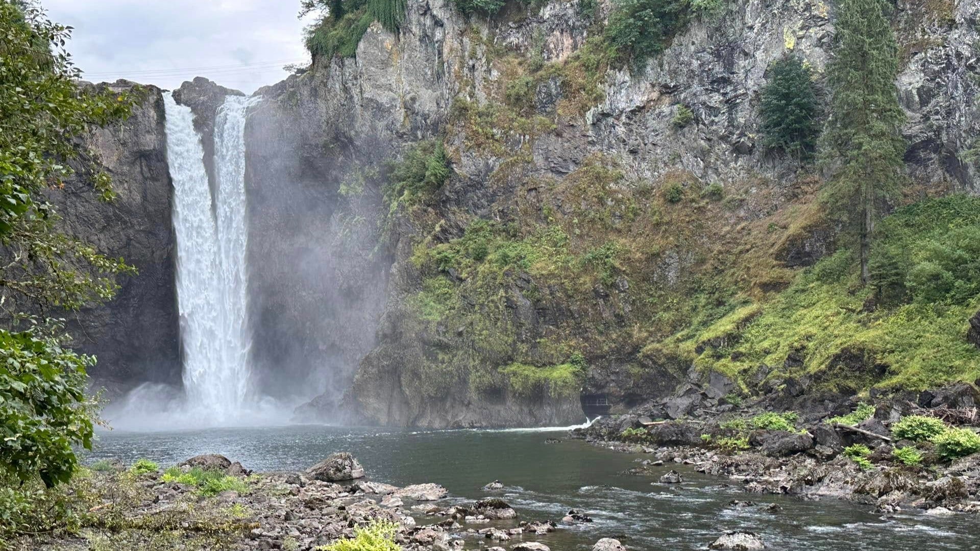 waterfalls and plants surrounding it