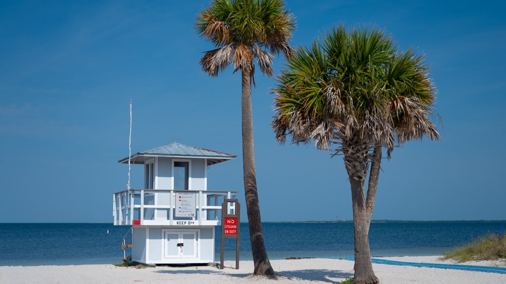 lifeguard stand on the beach with palm trees