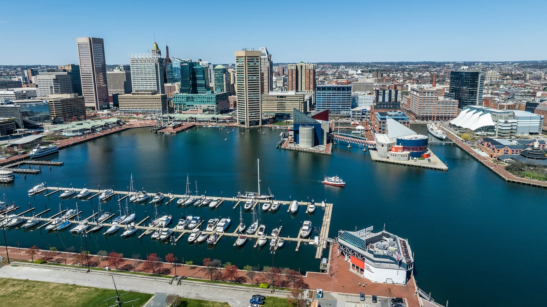 Aerial view of a harbor full of boats with tall city buildings in the background under a blue sky.