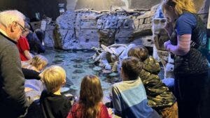 Aquarium Salt Lake City: 2025 Insider's Guide