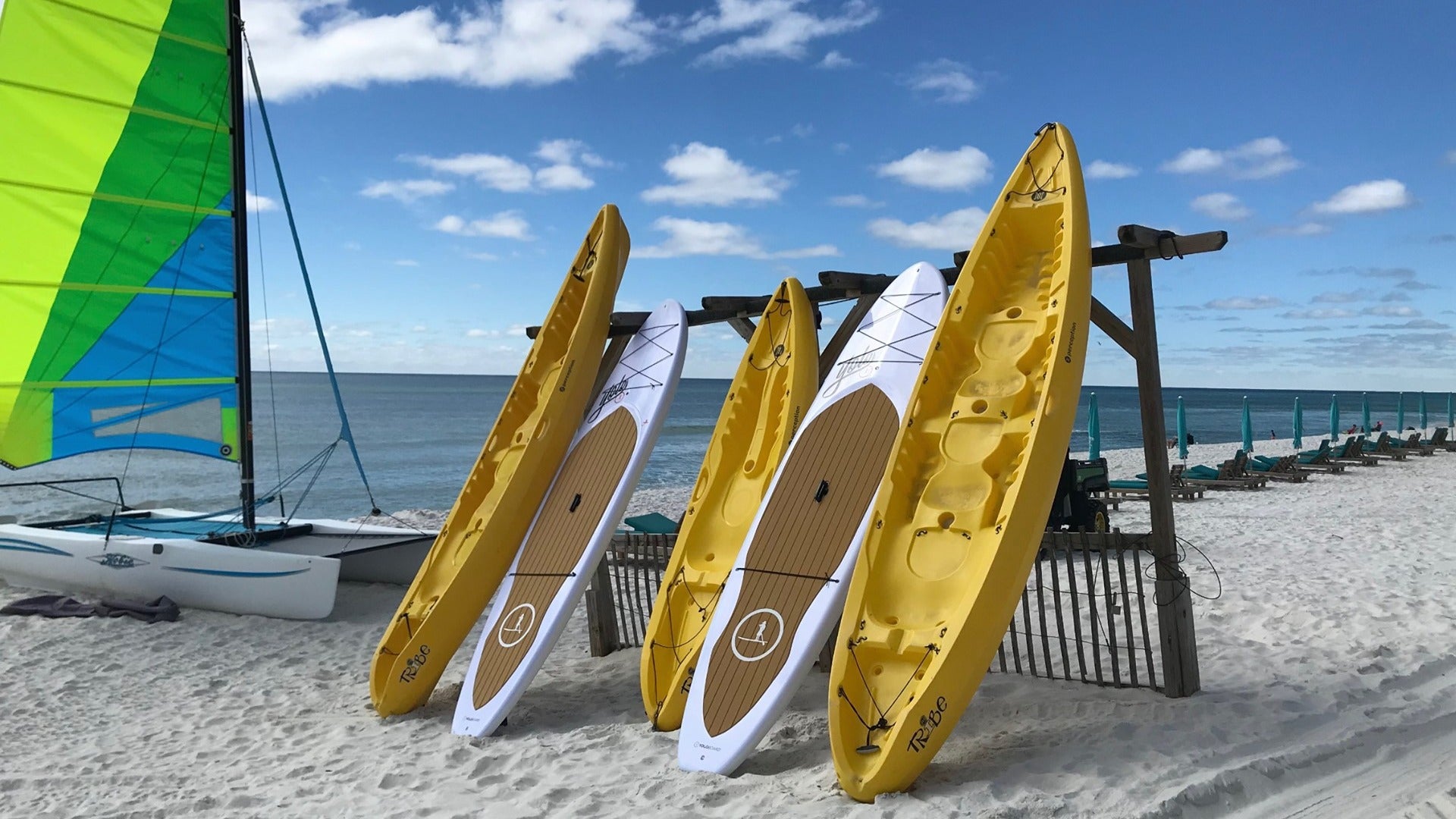 kayaks standing on the beach post with the ocean behind