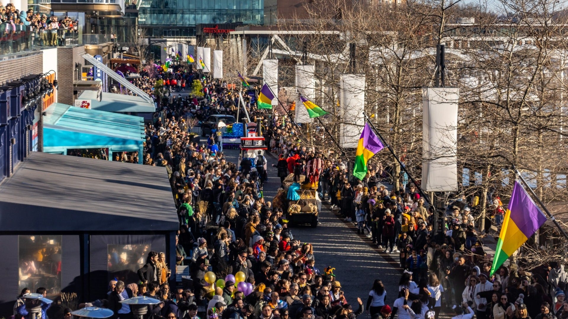 people watching a mardi gras parade on the street