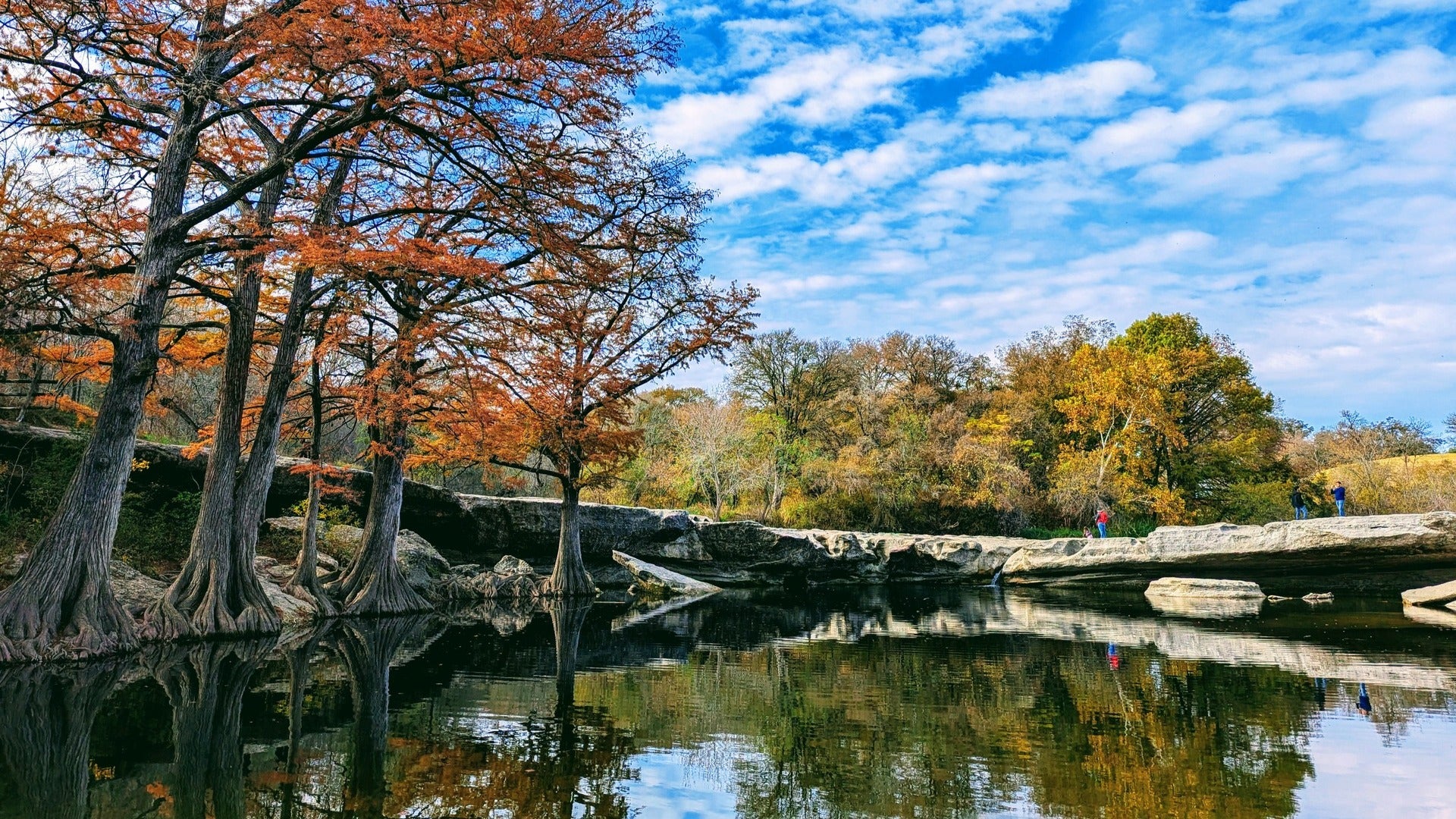 park with pond, stone bridge, trees, and people taking photos