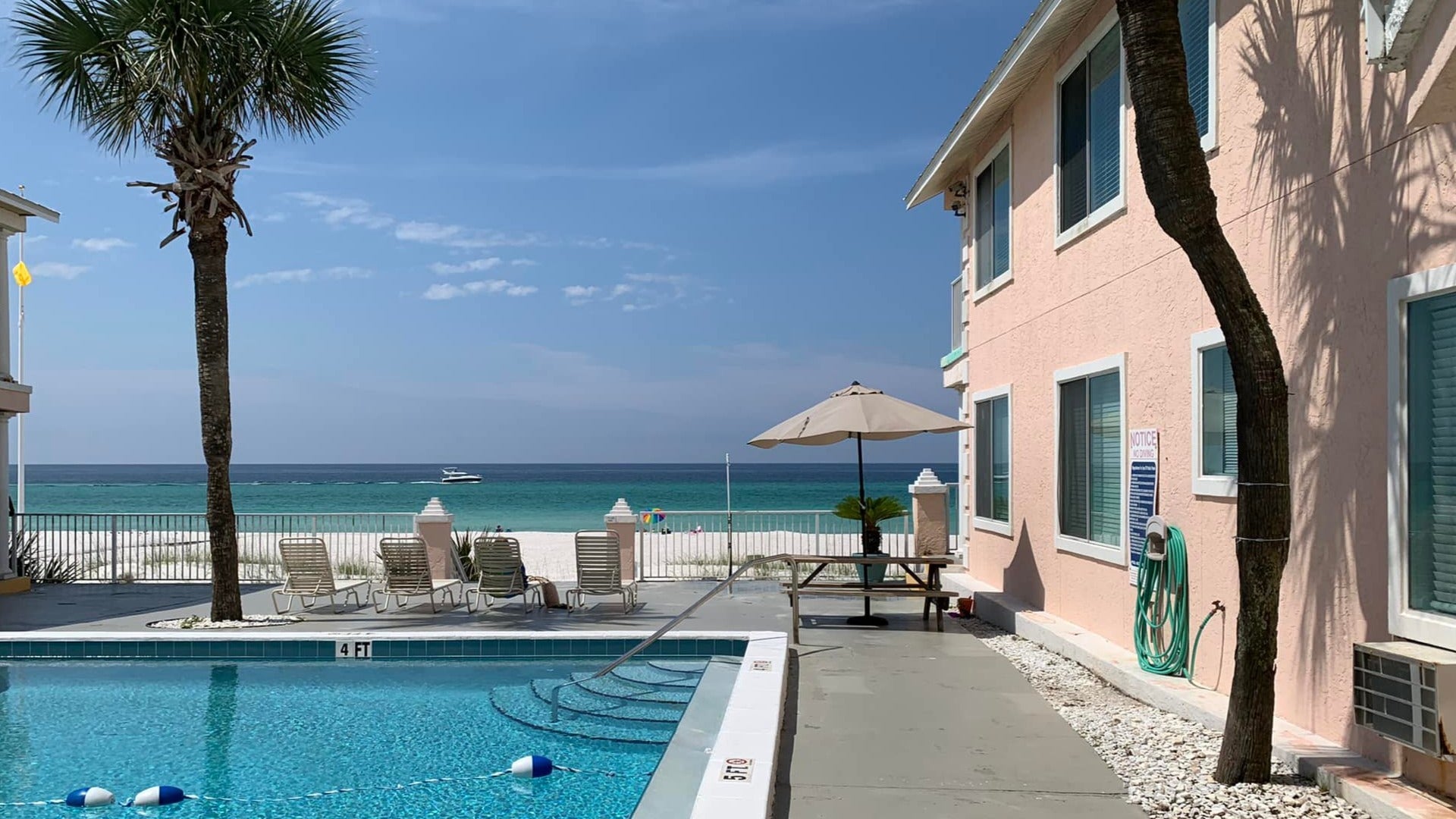 hotel with pool and palm tree with ocean at the back