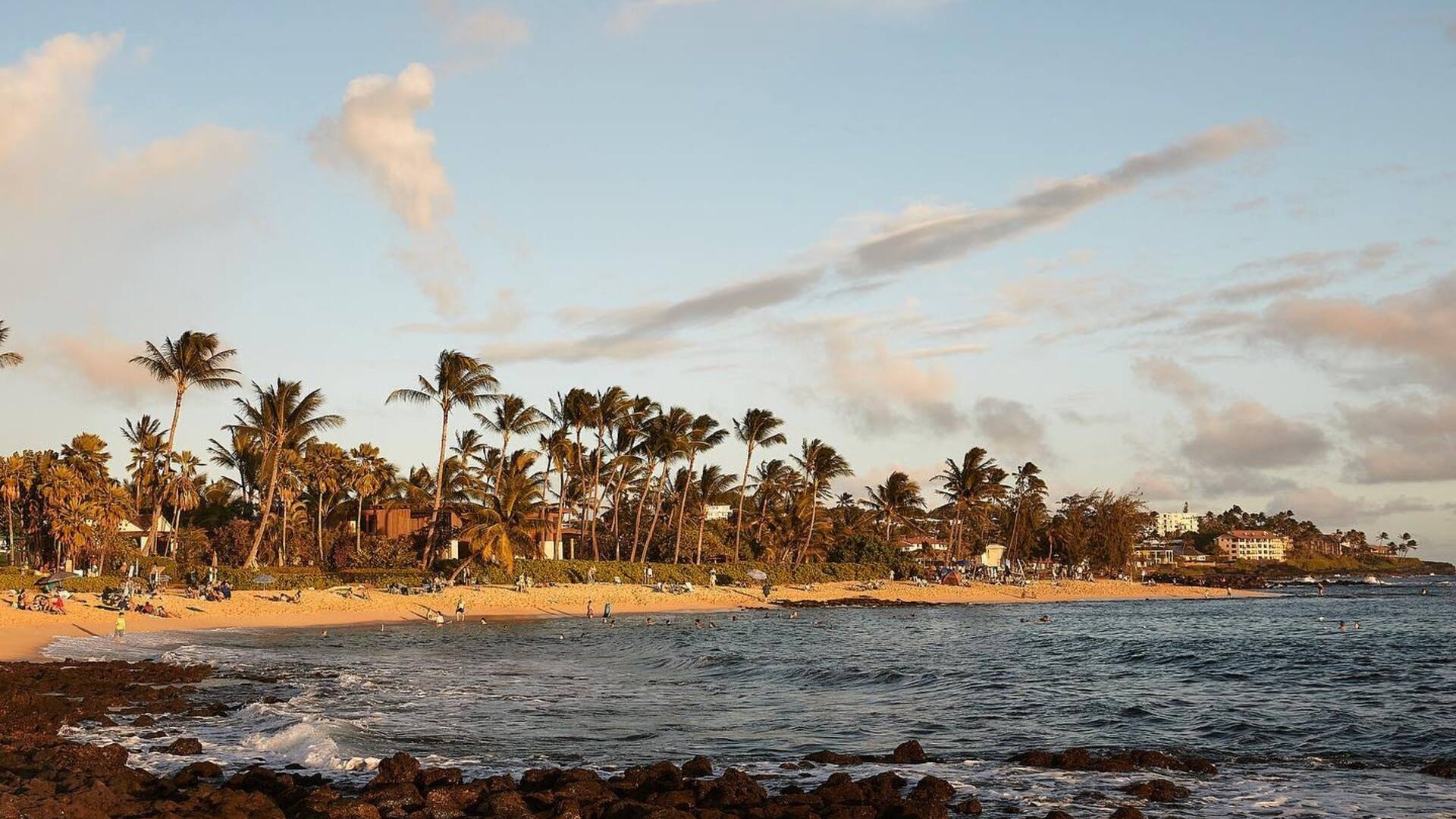 beach with palm trees and people on the short, ocean waves