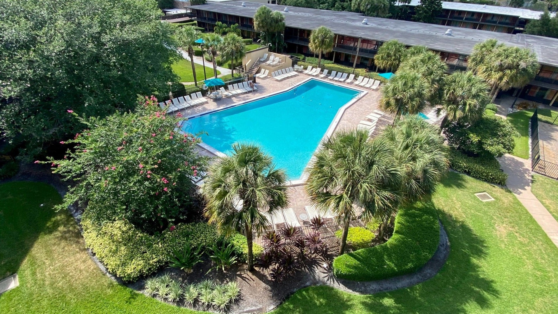 hotel with pool, pool chairs, and trees surrounding it