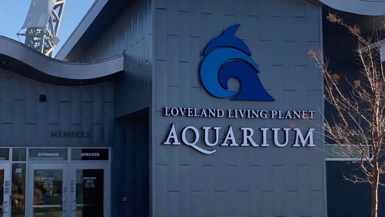 Aquarium Salt Lake City: 2025 Insider's Guide
