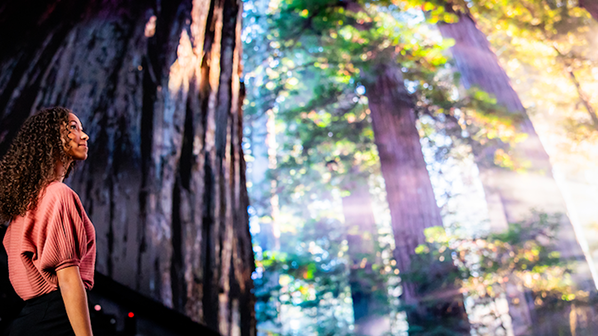 a girl in a forest