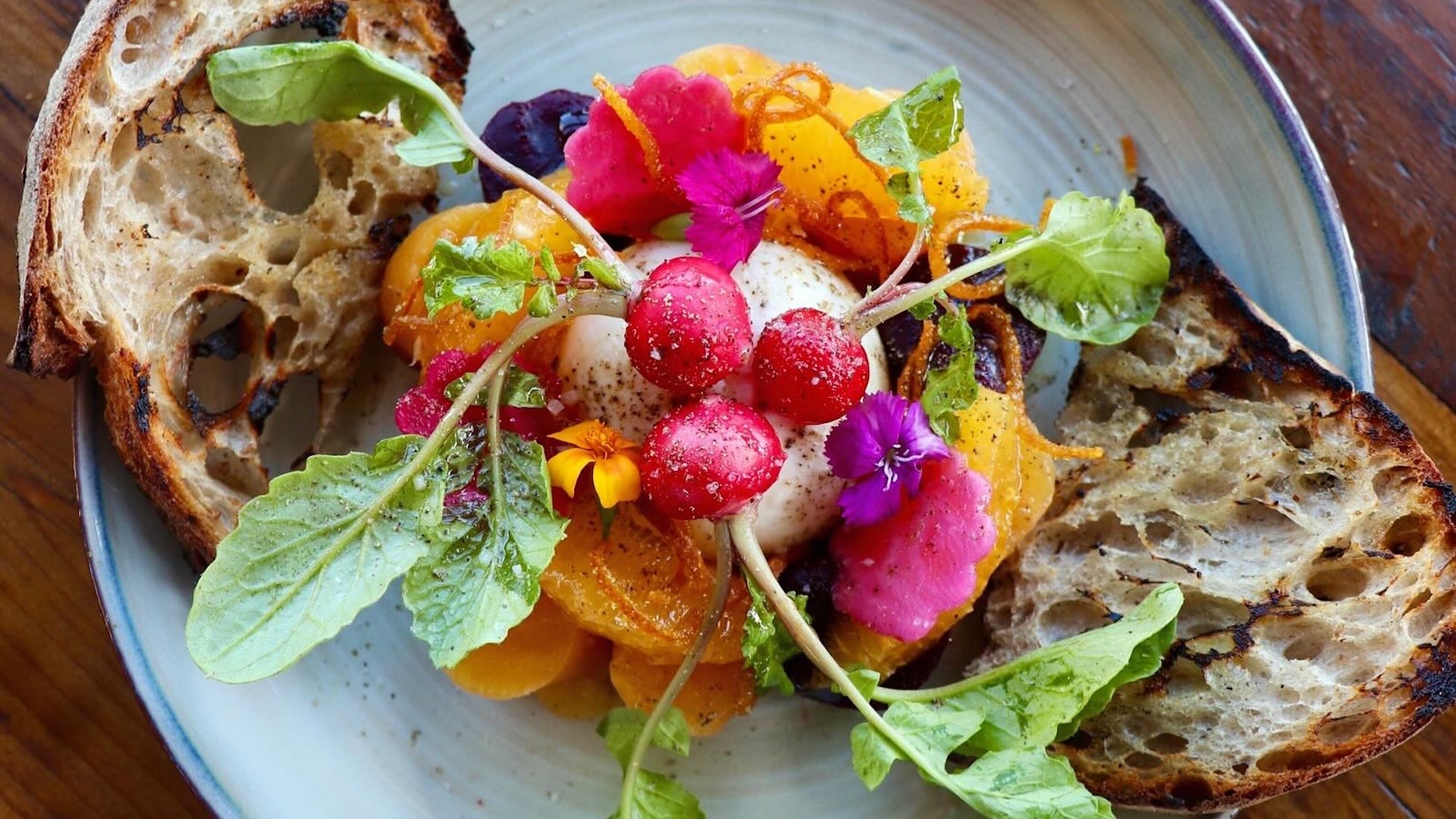 a plate with burrata and beets with radish, Valencia orange, grilled bread