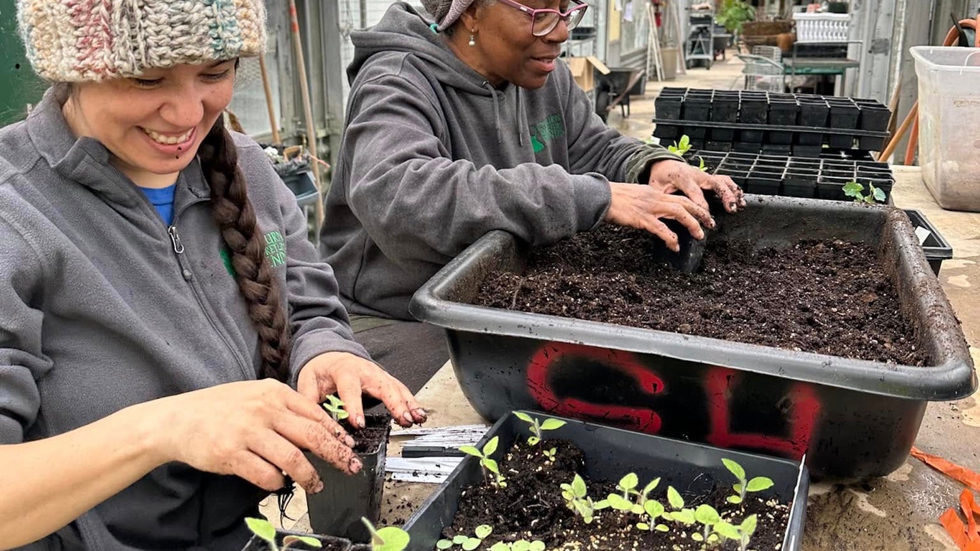 two women planting