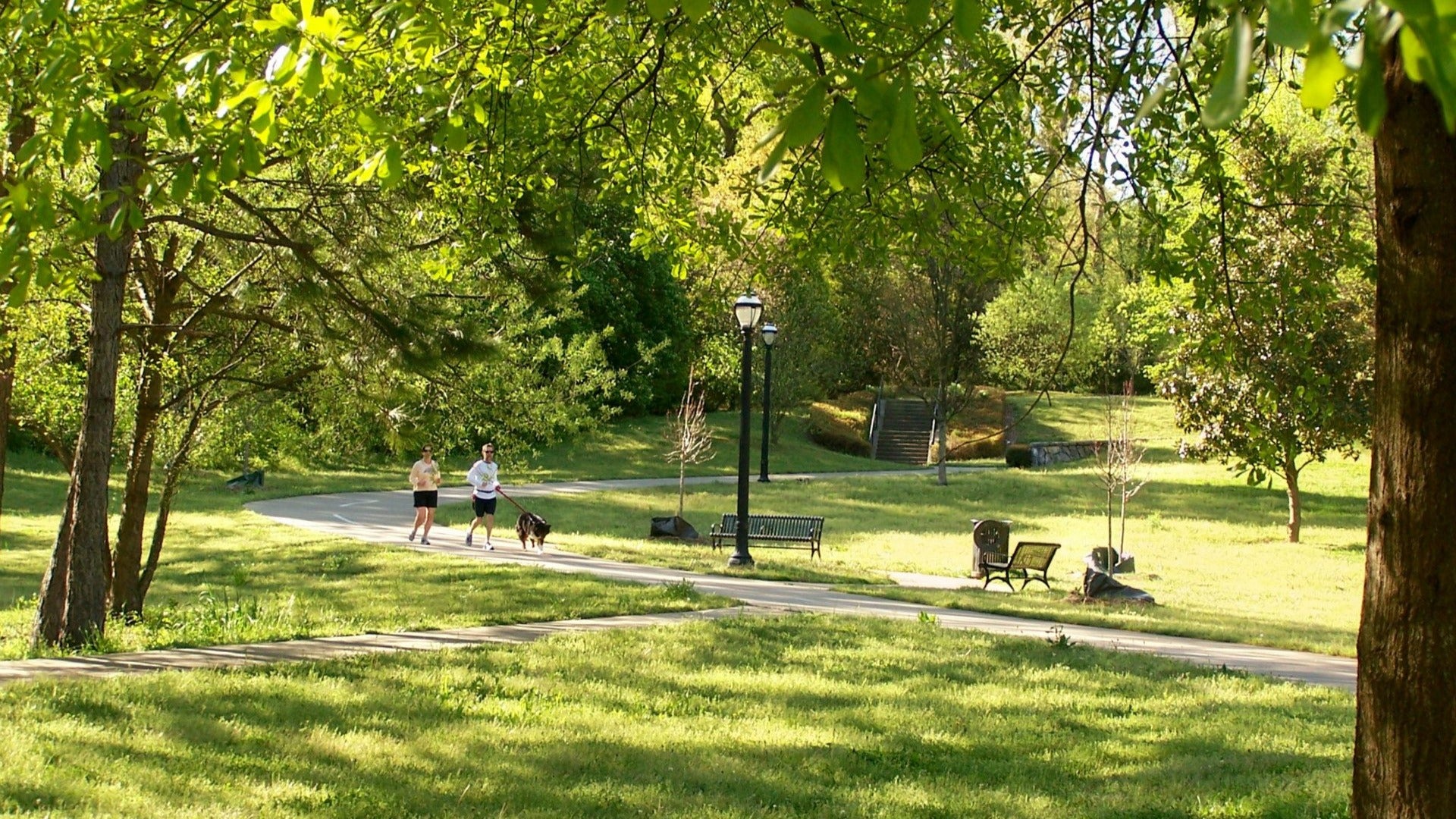 people jogging and walking dog at a park surrounded by trees