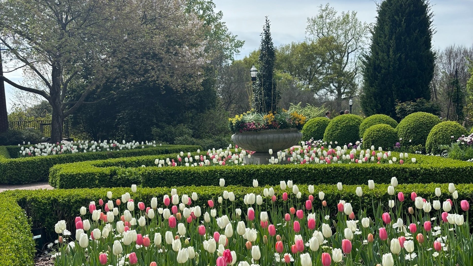 garden with flowers and grass