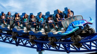 people riding a roller coaster