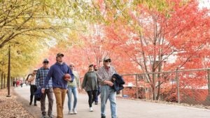 people walking