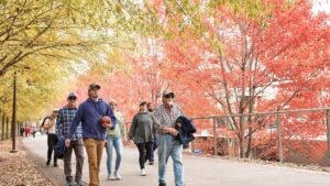 Atlanta BeltLine: Explore Trails, Parks, Restaurants Along the Path