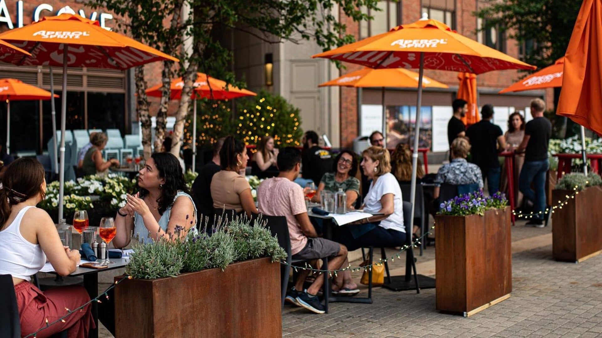 people dining outdoors, umbrellas, potted plants and trees