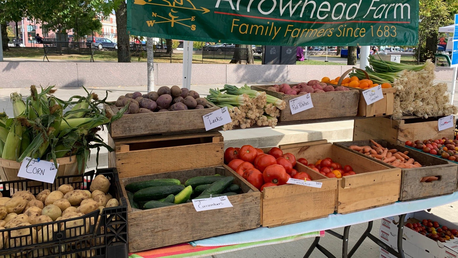 variety of fruits and vegetables on sale at a farmers market