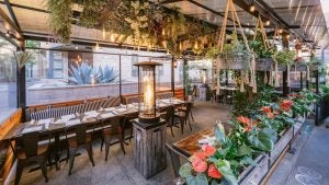 Greenery and tables with hanging lights and a heater inside of a covered outdoor eating area