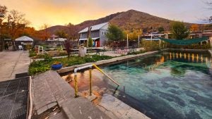 resort with pool and trees and mountain view at the back