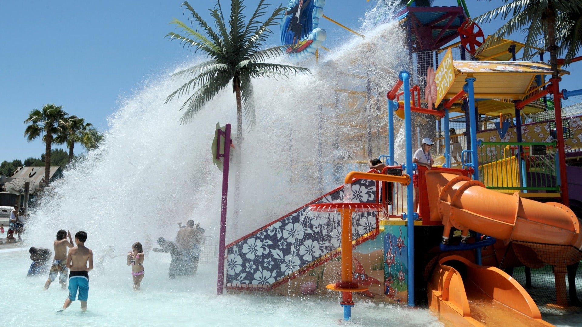 people enjoying a water splash with slides and trees in a pool