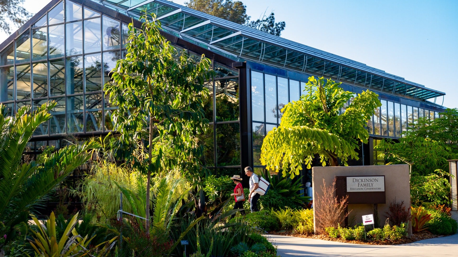couple going into a greenhouse garden with plants surrounding it