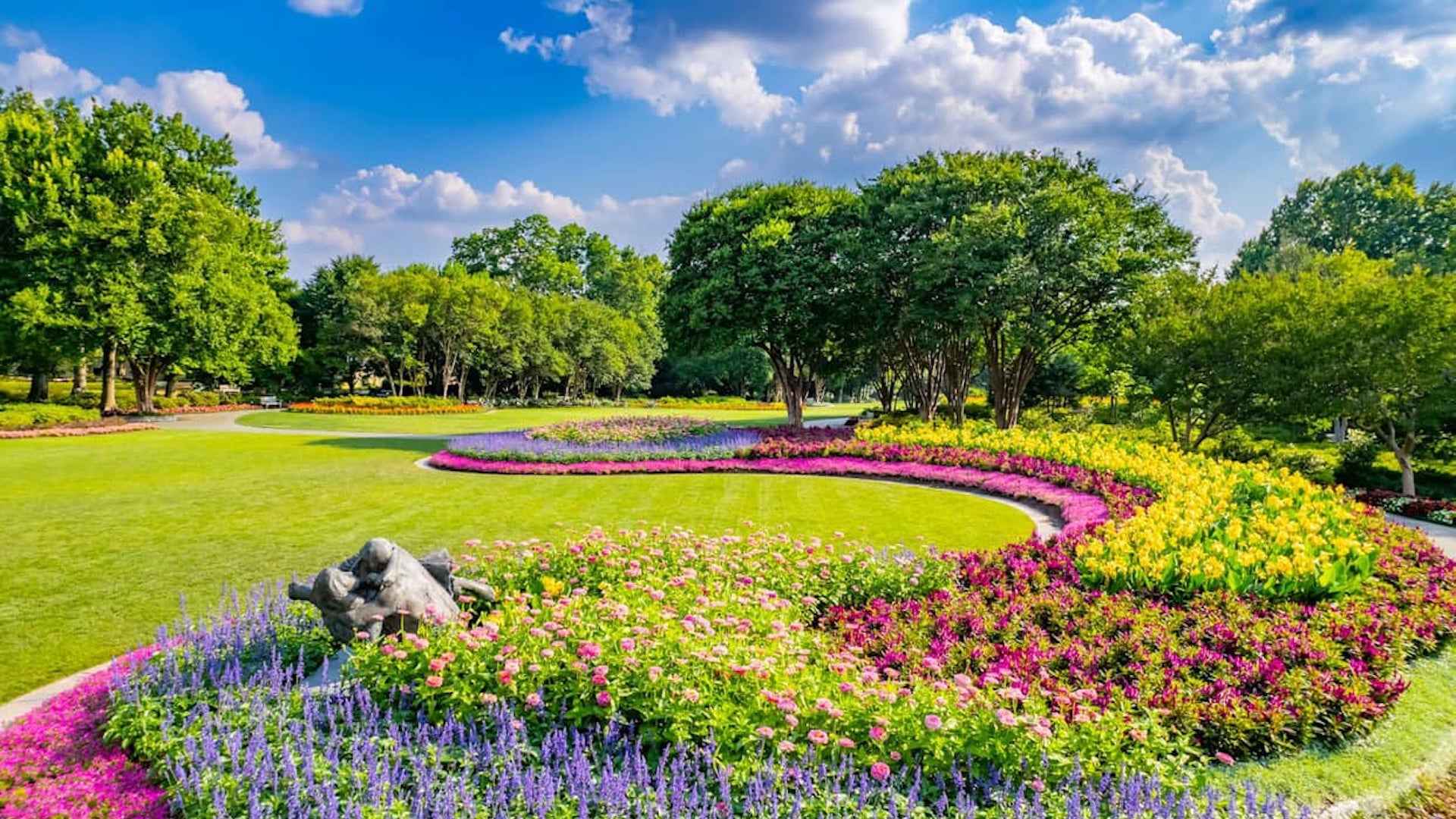 flowers in a garden