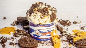 ice cream in a cup with cookies
