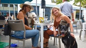 people eating with their dogs in a restaurant